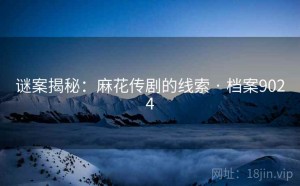 谜案揭秘：麻花传剧的线索 · 档案9024